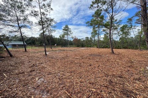 Land in Paisley, Florida № 2164142 - photo 8