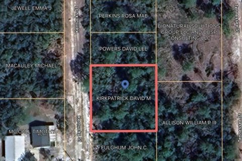 Land in Paisley, Florida № 2164142 - photo 12
