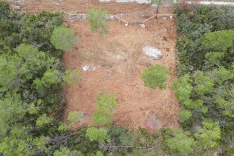 Land in Paisley, Florida № 2164142 - photo 9