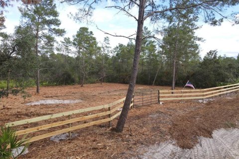 Land in Paisley, Florida № 2164142 - photo 3