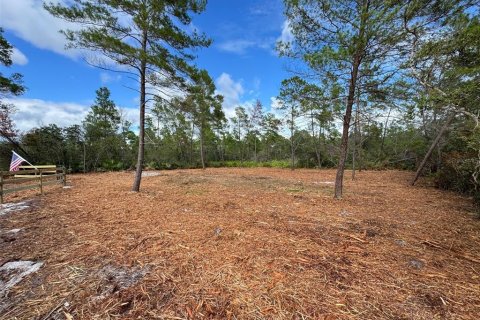 Land in Paisley, Florida № 2164142 - photo 5