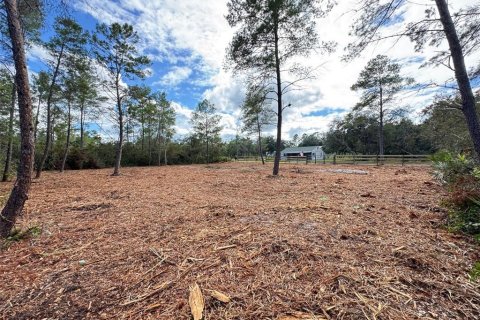 Land in Paisley, Florida № 2164142 - photo 7