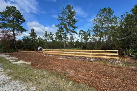 Land in Paisley, Florida № 2164142 - photo 2