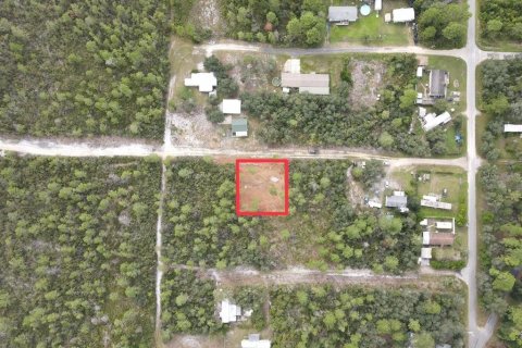Land in Paisley, Florida № 2164142 - photo 10