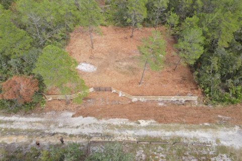 Land in Paisley, Florida № 2164142 - photo 11