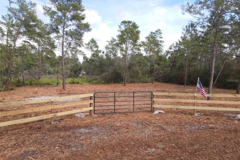 Land in Paisley, Florida № 2164142
