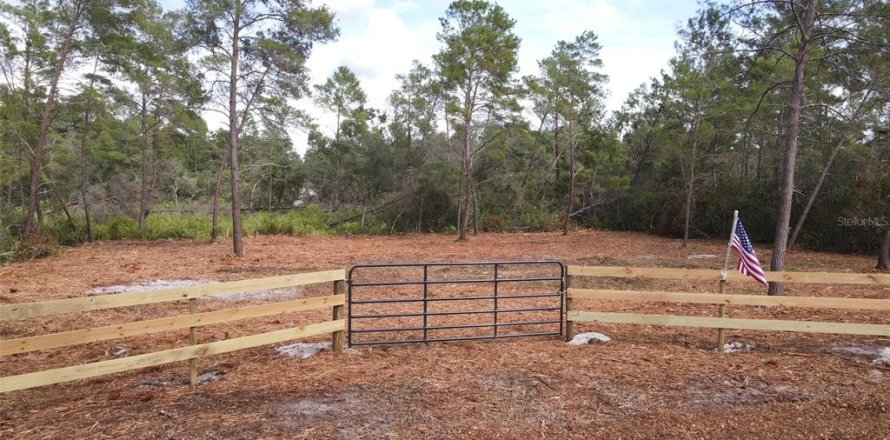 Land in Paisley, Florida № 2164142