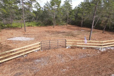 Land in Paisley, Florida № 2164142 - photo 4