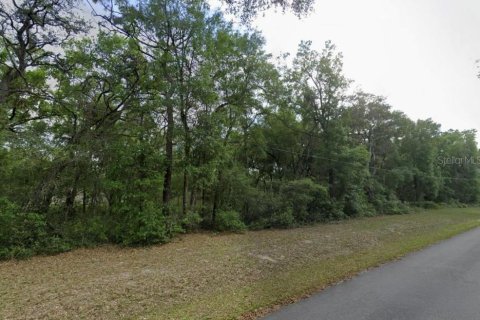 Terrain à Ocklawaha, Floride № 2236450