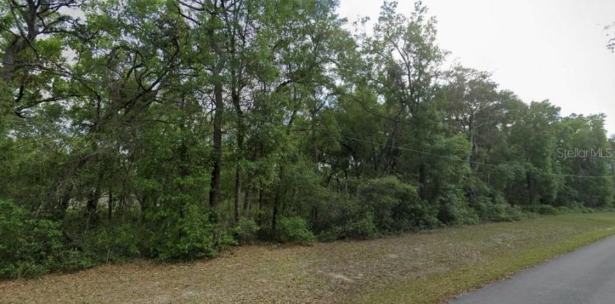Terrain à Ocklawaha, Floride № 2236450