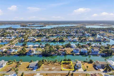 Land in Hernando Beach, Florida № 2233217 - photo 3