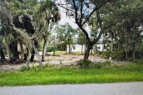 Land in Port Charlotte, Florida № 2162460