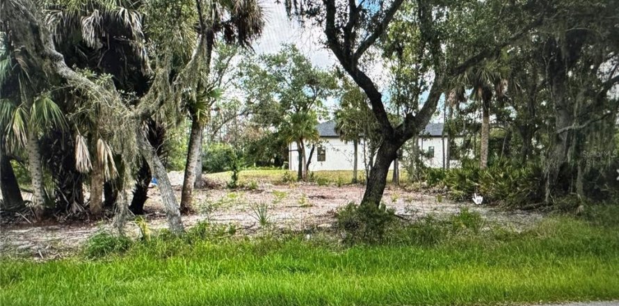 Land in Port Charlotte, Florida № 2162460