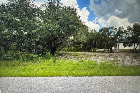 Land in Port Charlotte, Florida № 2162460 - photo 2