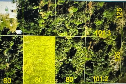 Land in Port Charlotte, Florida № 2162460 - photo 3