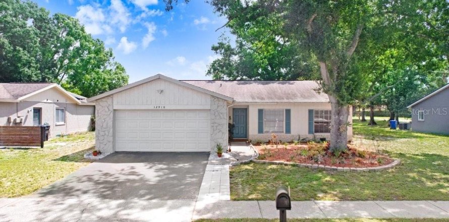 House in Riverview, Florida 4 bedrooms, 142.51 sq.m. № 1759383