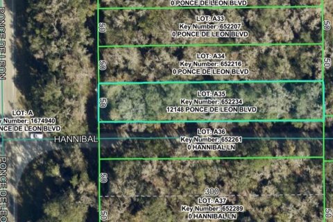 Land in Brooksville, Florida № 2362414