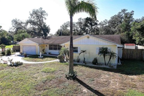 Villa ou maison à vendre à Brandon, Floride: 4 chambres, 155.52 m2 № 2416768 - photo 2