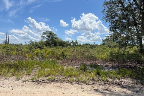 Land in Dunnellon, Florida № 2160531