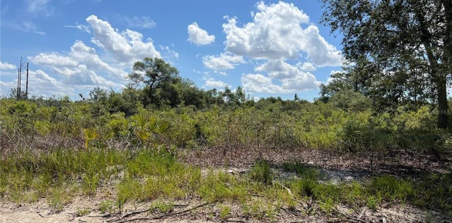 Land in Dunnellon, Florida № 2160531