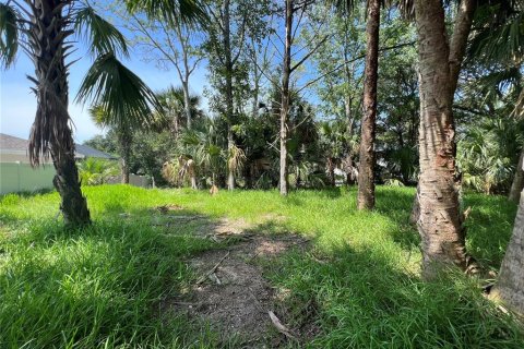 Land in Palm Coast, Florida № 687579 - photo 7