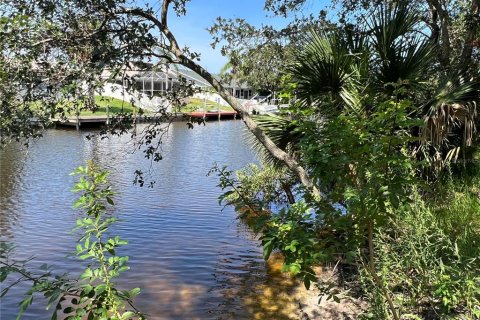 Land in Palm Coast, Florida № 687579 - photo 17
