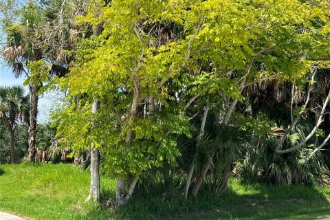 Land in Palm Coast, Florida № 687579 - photo 5