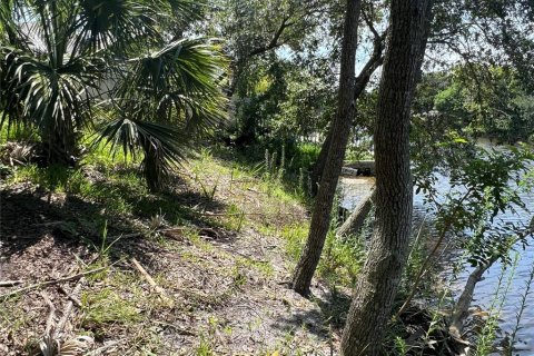 Land in Palm Coast, Florida № 687579 - photo 13