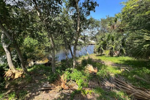 Land in Palm Coast, Florida № 687579 - photo 9