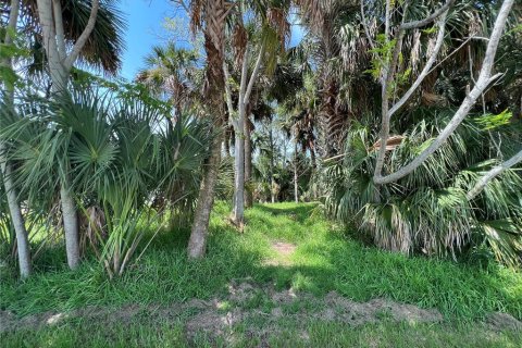 Land in Palm Coast, Florida № 687579 - photo 6