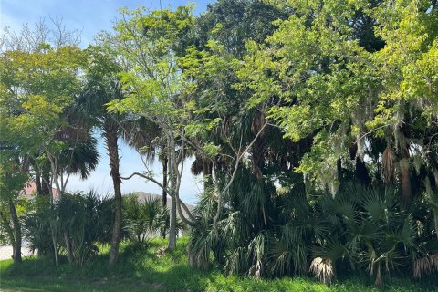 Land in Palm Coast, Florida № 687579 - photo 3