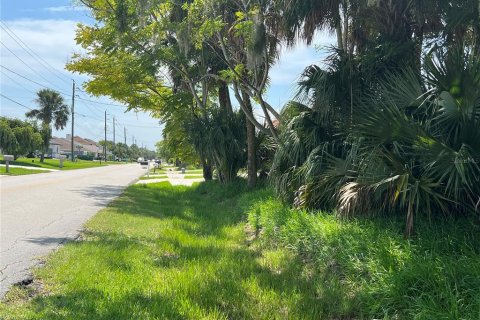 Land in Palm Coast, Florida № 687579 - photo 4