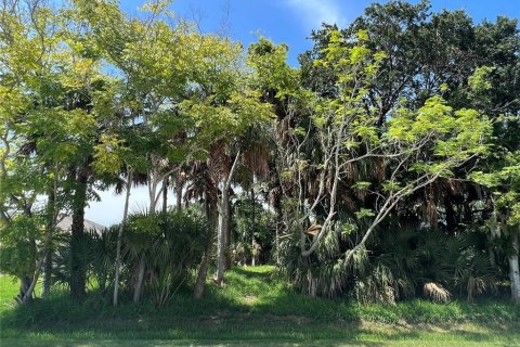 Land in Palm Coast, Florida № 687579 - photo 2
