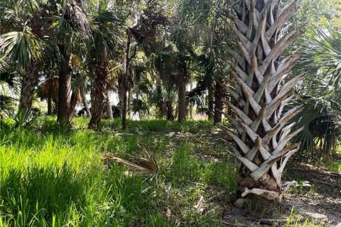 Land in Palm Coast, Florida № 687579 - photo 14