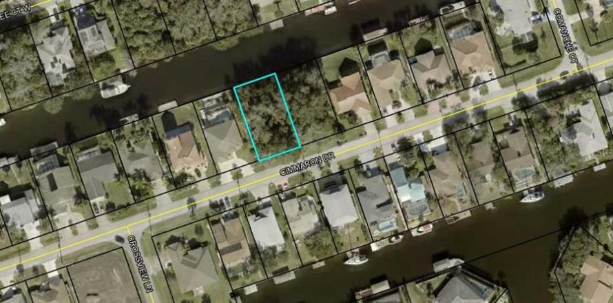 Land in Palm Coast, Florida № 687579