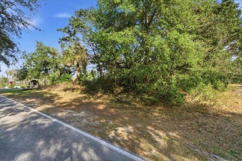 Land in Homosassa, Florida № 2379388 - photo 5