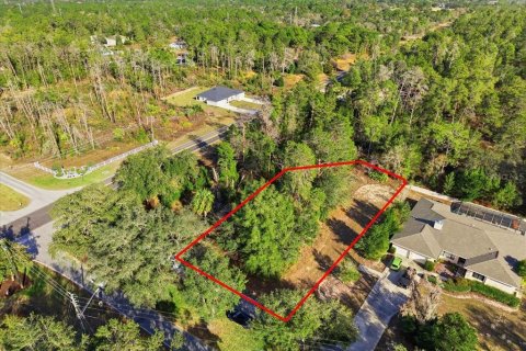Land in Homosassa, Florida № 2379388 - photo 6