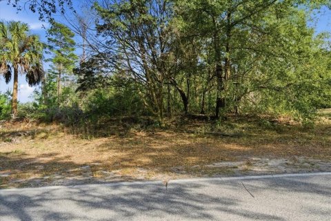 Land in Homosassa, Florida № 2379388 - photo 4