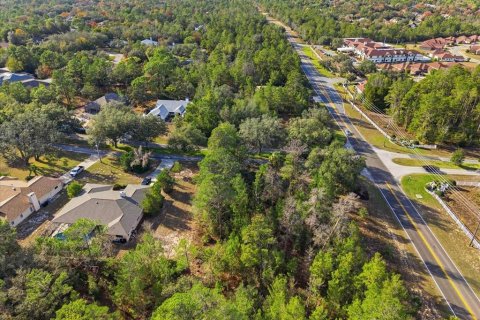 Land in Homosassa, Florida № 2379388 - photo 17