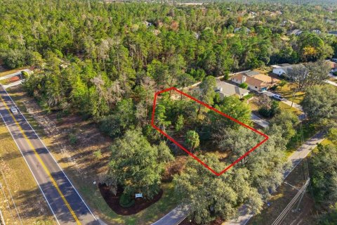 Land in Homosassa, Florida № 2379388 - photo 7