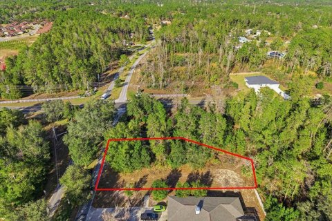 Land in Homosassa, Florida № 2379388 - photo 12