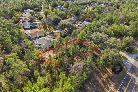Land in Homosassa, Florida № 2379388 - photo 9