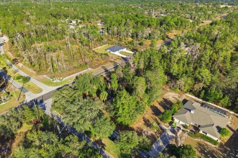 Land in Homosassa, Florida № 2379388 - photo 18