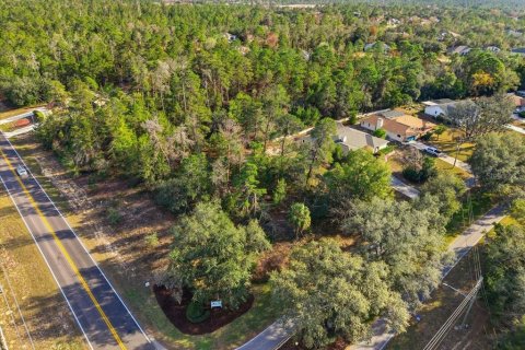 Land in Homosassa, Florida № 2379388 - photo 2