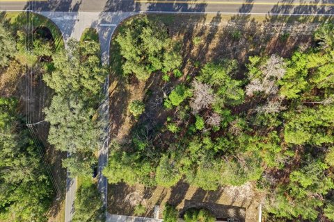 Land in Homosassa, Florida № 2379388 - photo 23