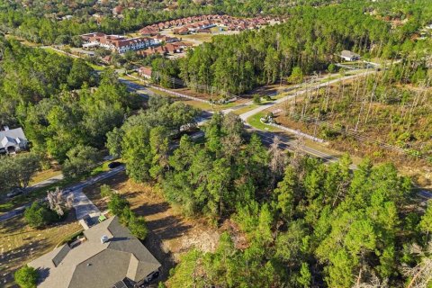 Land in Homosassa, Florida № 2379388 - photo 15