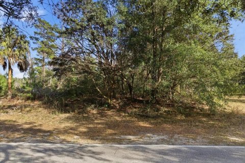 Land in Homosassa, Florida № 2379388 - photo 3