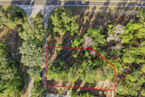 Land in Homosassa, Florida № 2379388 - photo 14