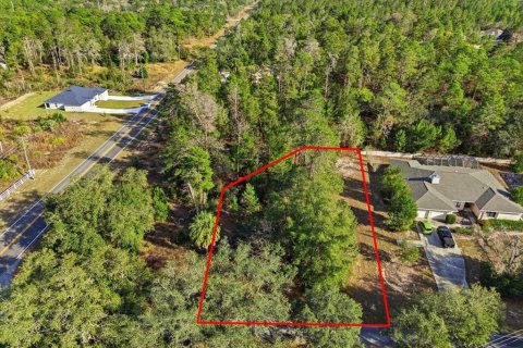 Land in Homosassa, Florida № 2379388