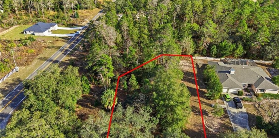 Land in Homosassa, Florida № 2379388